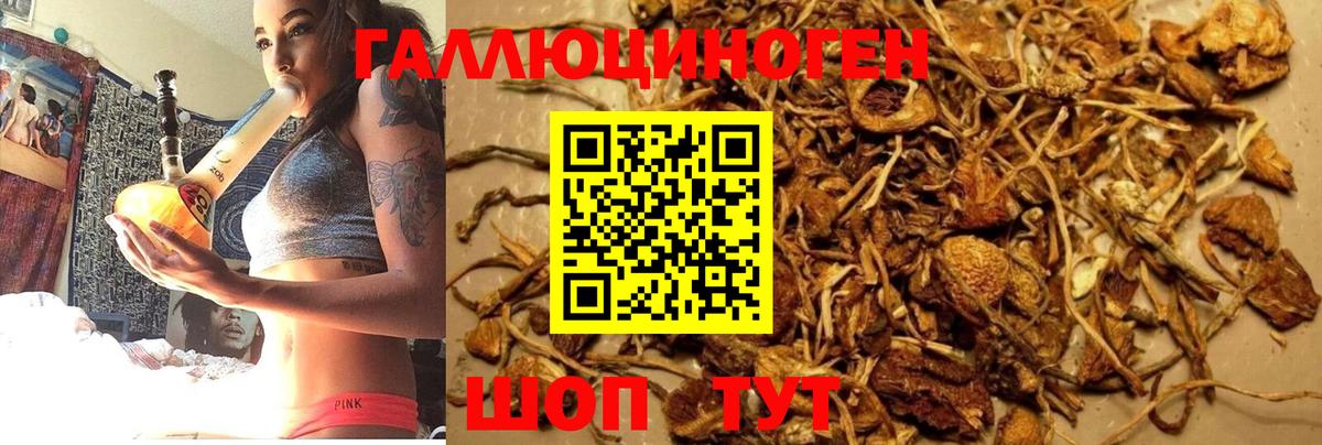 Галлюциногенные грибы Psilocybine cubensis  Галлюциногенные грибы мухоморы  Аксай  Вход с VPN 